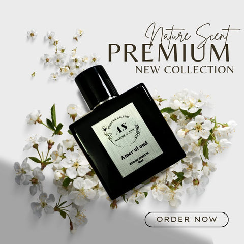 AS Nature Scent Amer Ul Oud & Romance Eau De Parfum Combo